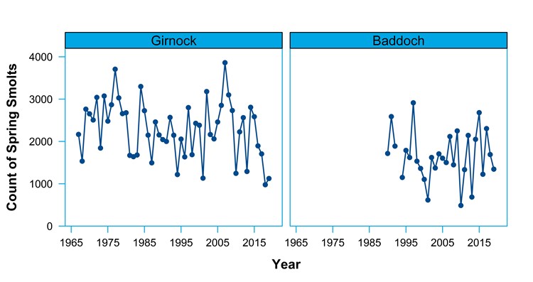 Girnock and Baddoch spring emigrant counts by year
