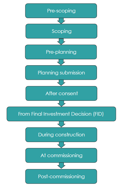 Project Development – Process: flow chart