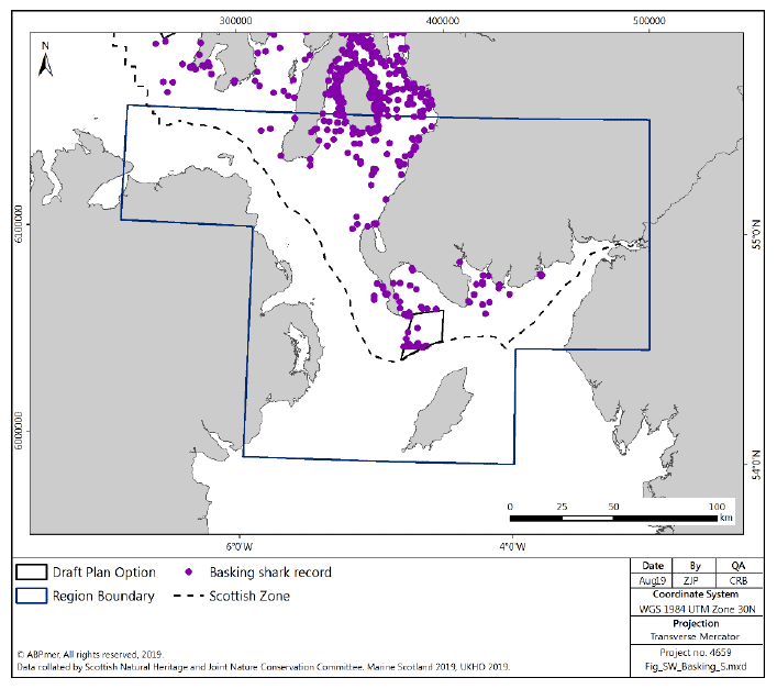 Figure 89 South West region: basking shark sightings distribution