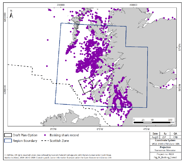 Figure 133 West region: basking shark sightings distribution