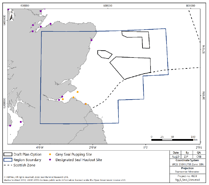 Figure 263 East region: seal haulout sites and grey seal pupping sites