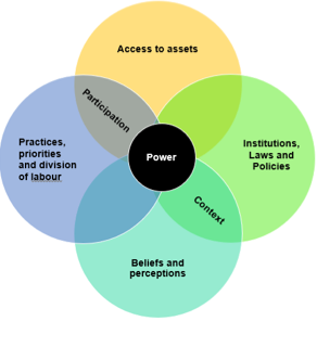 A diagram of a suggested gender analysis framework:
Access to assets
Practices, priorities and division of labour
Institutions, laws and policies 
Beliefs and perceptions 