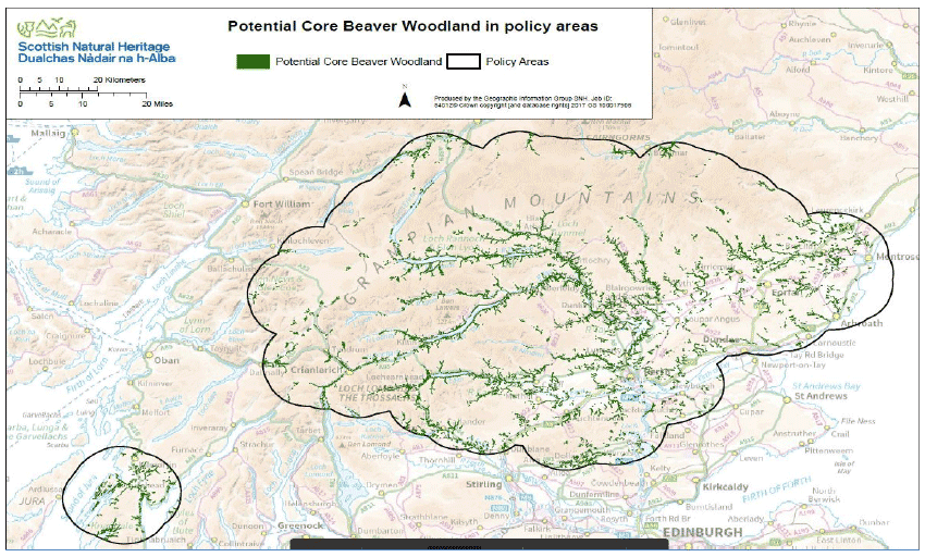 Map 4 - Potential core beaver woodland in Knapdale and Tayside beaver policy areas