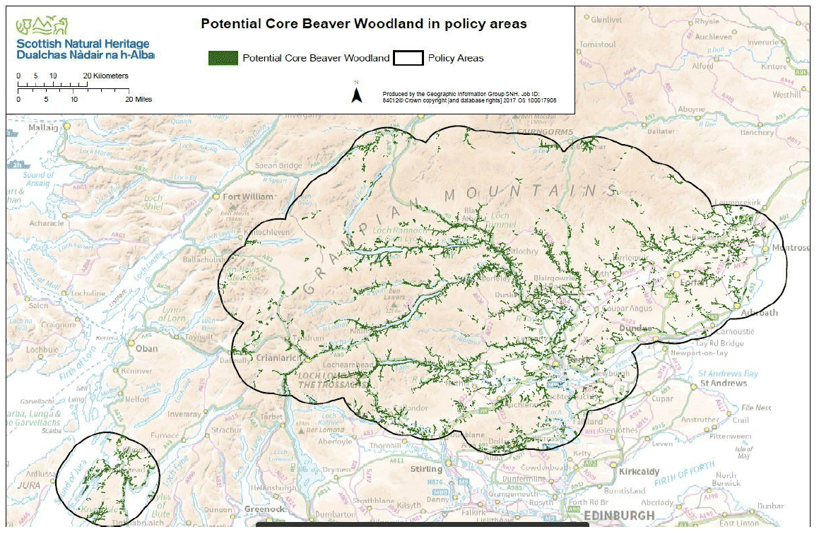 Map 4 - Potential core beaver woodland in Knapdale and Tayside Beaver Policy Areas