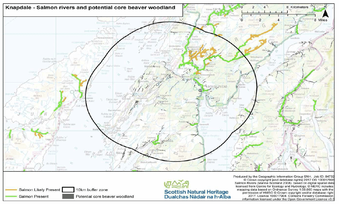 Map 26 - Knapdale salmon rivers and potential core beaver woodland