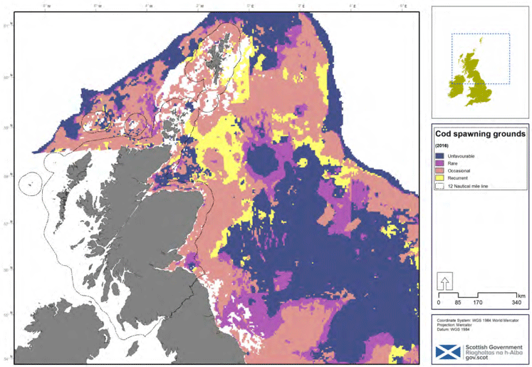 Figure 20: Spawning area preferences of cod from (Gonzalez-Irusta and Wright, 2015). This modelling was restricted to the east and north coasts of Scotland. © Crown copyright and database rights (2018) OS (100024655).