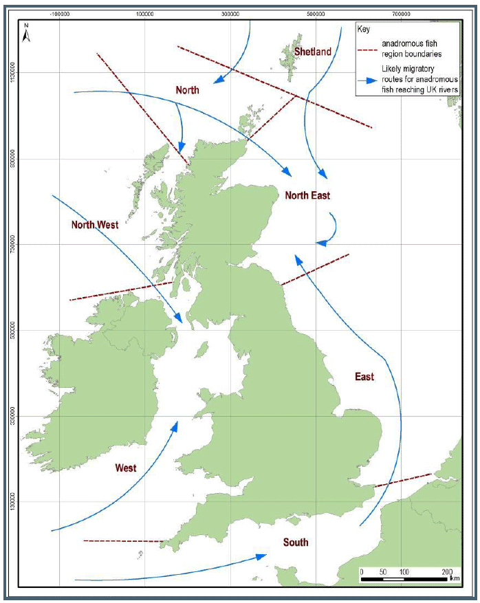 Figure 12: Location and extent of coastal regions for screening fish qualifying interest features