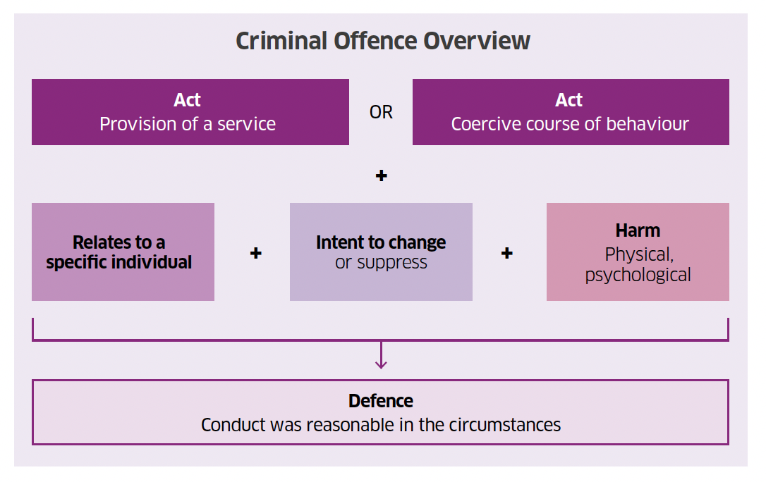 This diagram gives an overview of the key elements of the proposed criminal offence of engaging in conversion practices.
