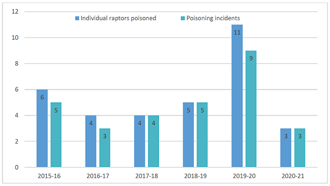 A barchart showing the number of bird of prey poisonings, both in individuals birds and the number of incidents recorded by SASA from 2016-17 to 2020-21. The barchart shows that recorded incidents have remained fairly steady over the 5 year period with the exception of a spike to 11 individual poisonings recorded in 2019-20.