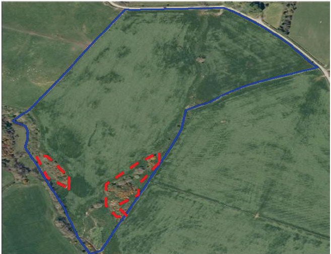 In this example the features are gorse and scrub (area in red), classified as GOR and SCB. The area of ineligibility is assessed in proportion to the size of the parcel.