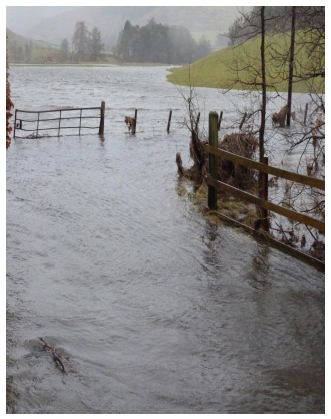 Flooding in the Borders January 2014