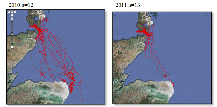 Image G15: Razorbills Tracked From Orkney During the Breeding Season in 2010 and 2011