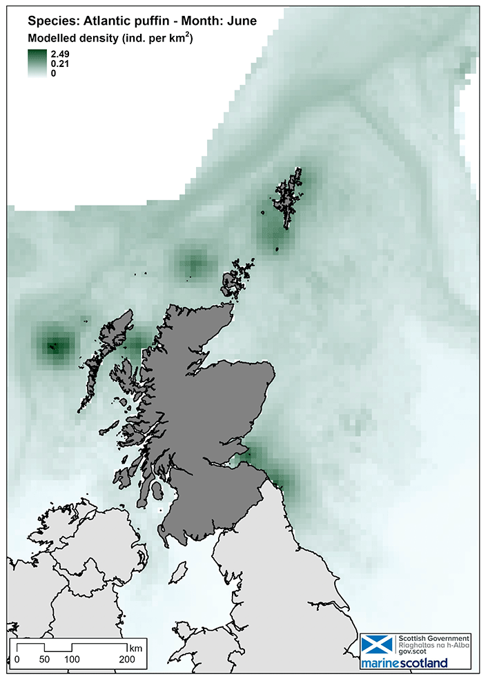 Map of Atlantic puffin estimated density in Scottish waters in June. Density is highest around St Kilda, in between Northwest Scotland and Harris, in the Firth of Forth and southeast Scotland, around Shetland and around Sule to the west of Orkney.