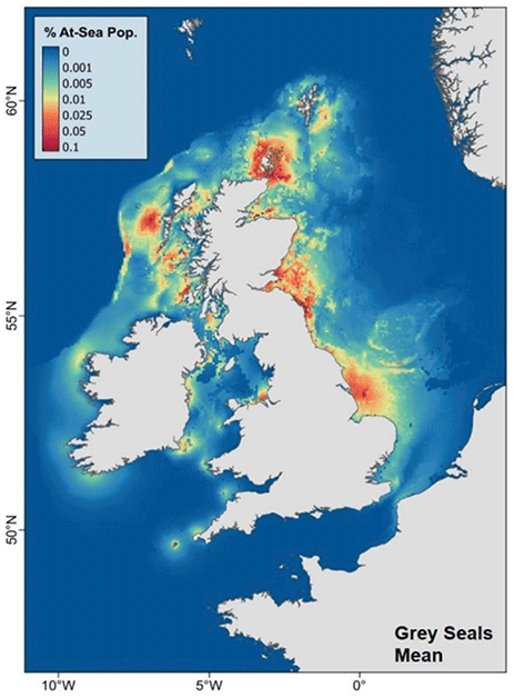 A map of the UK and Ireland showing predicted grey seal densities at sea. Densities are highest around major haul out sites and decrease with distance from coast, with offshore hotspots of activity in the southern north sea and towards the continental shelf edge, west of the outer Hebrides.