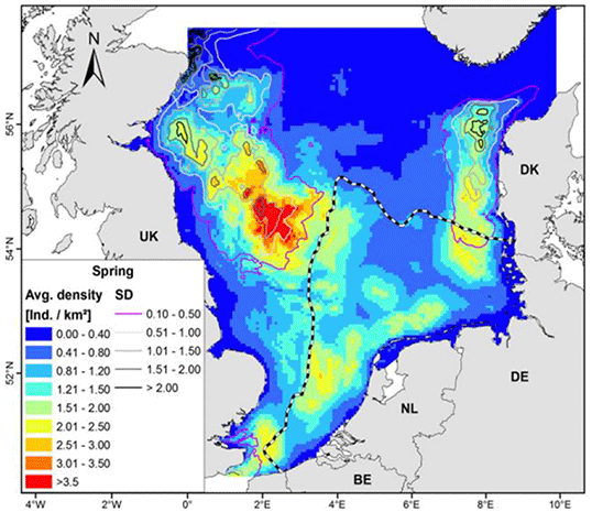 A map of the entire north sea showing predicted harbour porpoise densities. The highest predicted density is shown to occur off the English coast.