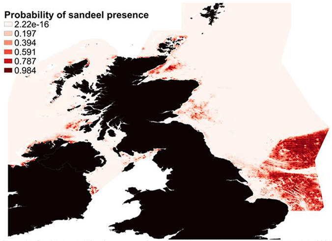 A map of the North and Celtic Seas showing areas of predicted probability of sandeel occurrence, illustrated by a colour ramp from 0 (light colour) to 1 (dark colour). The highest probability of presence is seen in the Dogger Bank area, but the model also identifies known areas of sandeel grounds off the east coast of Scotland and off the west coast.