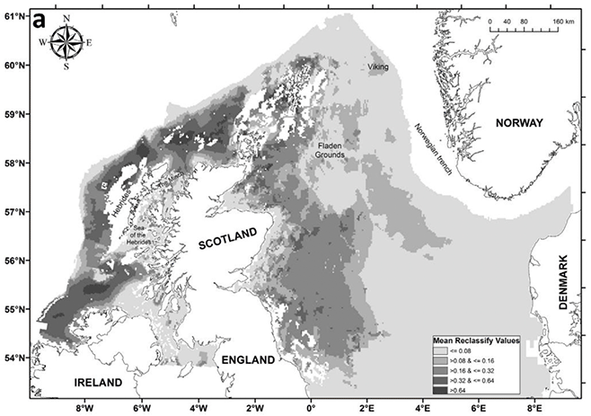 Map of haddock spawning habitat in Scottish waters indicated by a colour scale ranging from 0 to 1 with light grey indicating unfavourable spawning habitat (<=0.08) and dark grey indicating recurrent spawning habitat (>0.64. Several occasional and recurrent spawning habitats are shown in Scottish waters. Several persistent and occasional spawning grounds occur in Scottish waters, particularly around the Northern Isles and off the east coast of Scotland.