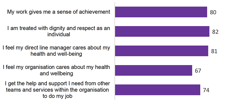 Chart showing scores:
My work gives me a sense of achievement 78
I am treated with dignity and respect as an individual 79
I feel my direct line manager cares about my health and well-being 79
I feel my organisation cares about my health and wellbeing 64 
I get the help and support I need from other teams and services within the organisation to do my job 72