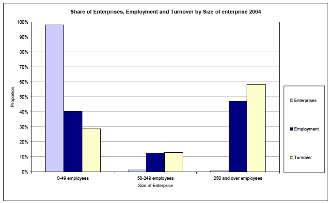 Share of Enterprises, Employment and Turnover by Size of enterprise 2004 image