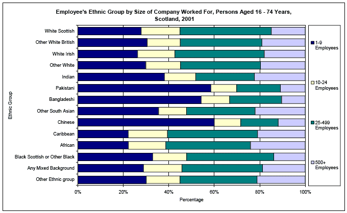 image of Employee's Ethnic Group by Size of Company Worked For, Persons Aged 16 - 74 Years, Scotland, 2001