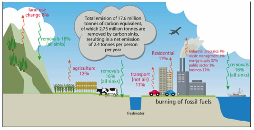 Figure C2: Main sources and sinks of carbon emissions in Scotland