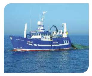 Demersal pair trawler fishing vessel
