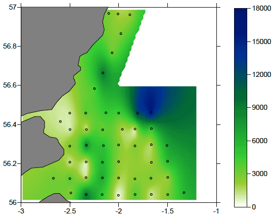 Figure 13: Map of the distribution of C. hamatus stages CV-CVI abundance in the study area in number of organisms m-2. Note the different scale.