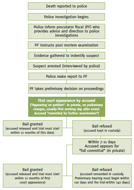 Flowchart showing the investigation and prosecution process