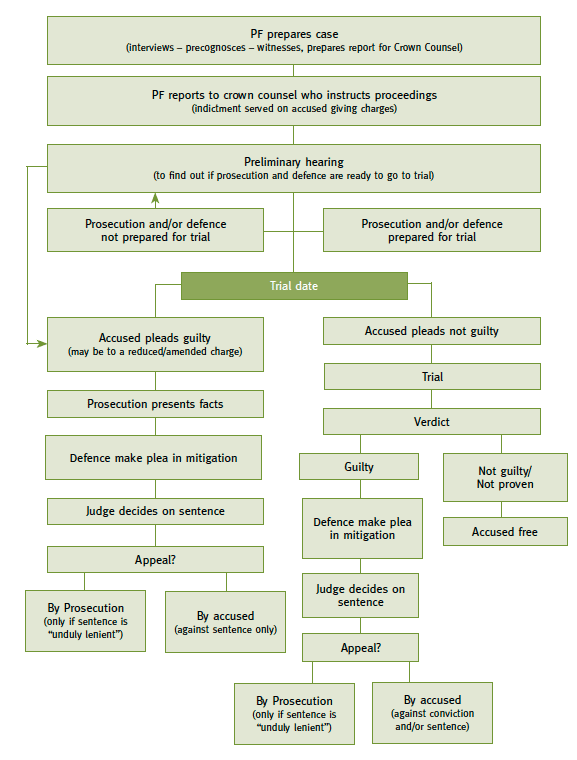 Flowchart showing the investigation and prosecution process