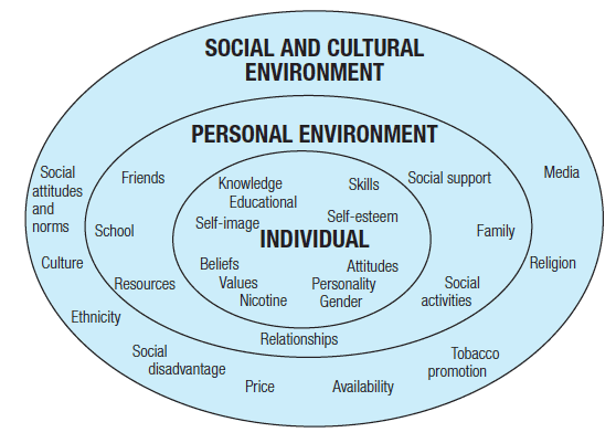 Social and Cultural, Personal Environment, and Individual chart