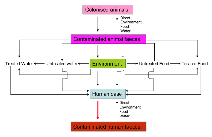 Controlling the excertion of contaminated human faeces