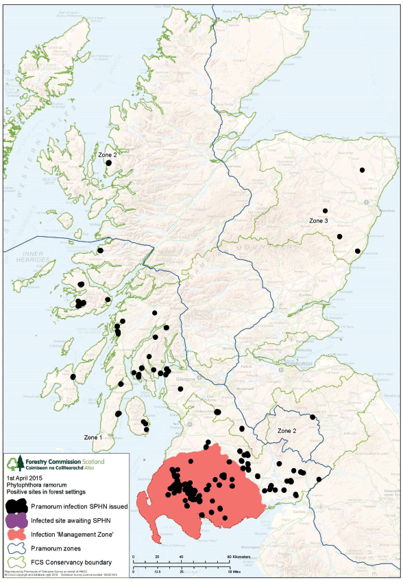 Known distribution of P. ramorum infection on larch in Scotland (1 April 2015)