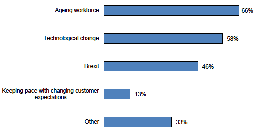 Figure E.41: Main drivers of skills/labour problems