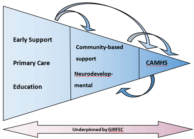 Diagram summarising taskforce approach
