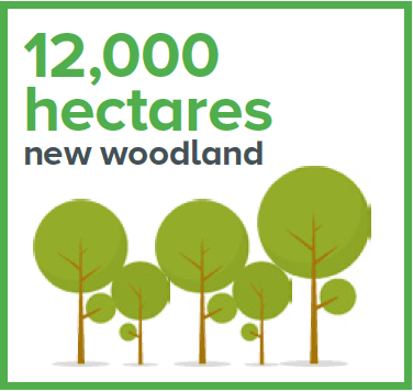 12,000 hectares new woodland