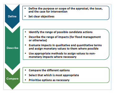 Figure 1 Stages in appraisal