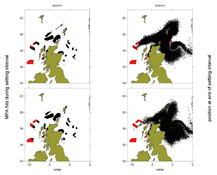 Figure 3a: Black dots show the distribution of particles at the end of the settlement window (right panels) and MPAs locations that these particles drifted over during that period (left panels) for each of the spawning periods (top: autumn; bottom: winter). Red dots show the particle origin positions.