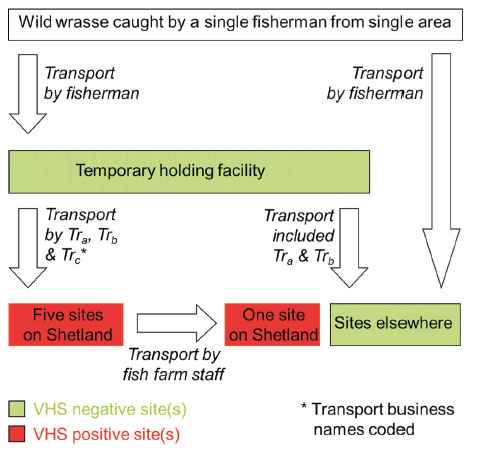 Figure 5.  Movements of wild-caught wrasse stocked onto sites