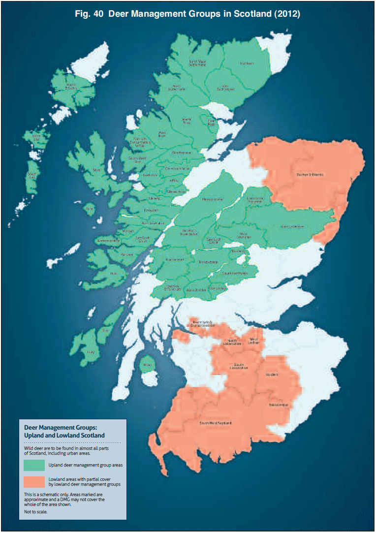 Fig. 40 Deer Management Groups in Scotland (2012)