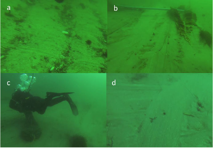 Figure 8: Freeze frame stills of impact on seabed. a) lines from the electrodes; (b) kelp fronds caught on electric rig; (c) diver dragging bag of razor clams; (d) track from the dragged bag of razor clams.