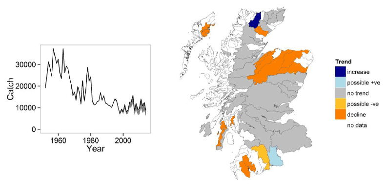 Figure 2: Trends in the reported catches of salmon during spring months (left).  The line indicates the total reported catch (retained and released) and the shaded area the catch corrected for the effect of catch and release.  The map (right) illustrates the results of the rod catch tool for spring salmon by statistical district.