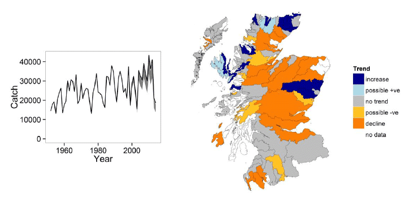 Figure 3: Trends in the reported catches of salmon during summer months (left). The line indicates the total reported catch (retained and released) and the shaded area the catch corrected for the effect of catch and release.  The map (right) illustrates the results of the rod catch tool for spring salmon by statistical district.