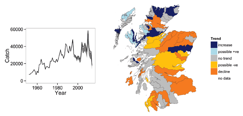 Figure 4: Trends in the reported catches of salmon during autumn months (left).  The line indicates the total reported catch (retained and released) and the shaded area the catch corrected for the effect of catch and release.  The map (right) illustrates the results of the rod catch tool for spring salmon by statistical district.
