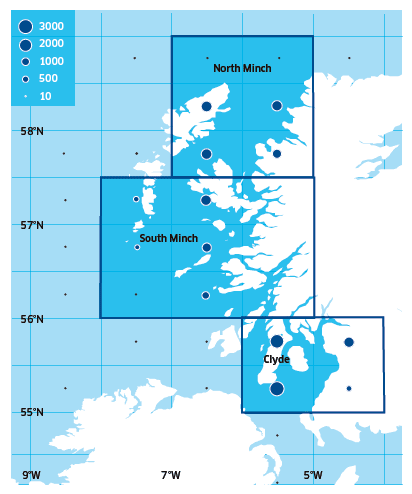 Distribution of Scottish West Coast Nephrops Landings Landings (tonnes) in 2013 (UK Vessels into Scotland)
