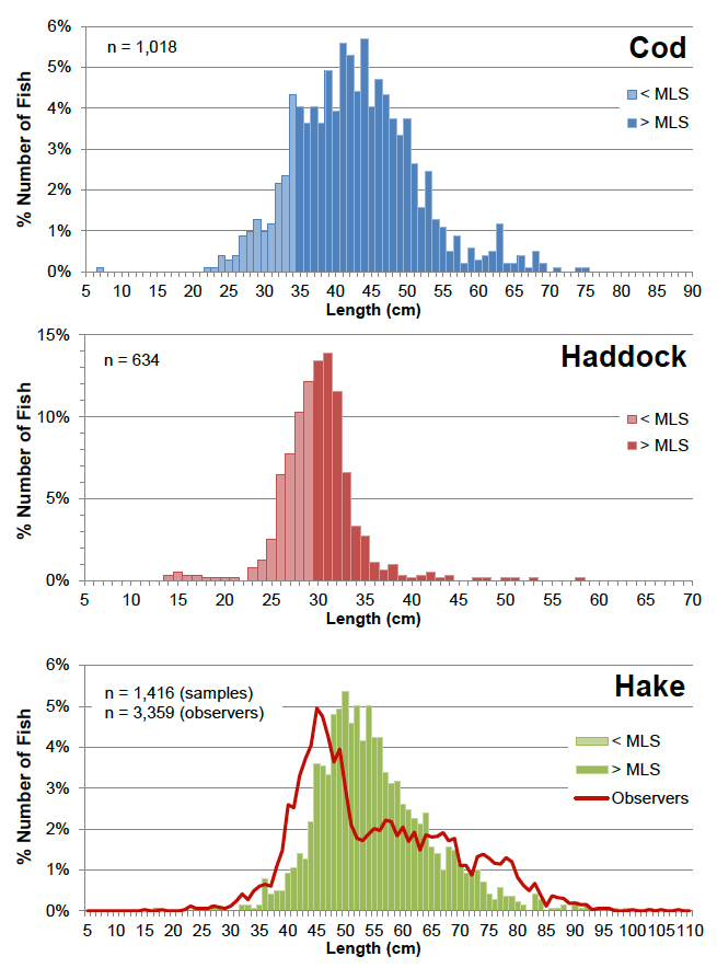 Figure 10: Percentage numbers at length of cod, haddock and hake in the fishermen’s discard samples for all fishing gears combined.  The percentage numbers at length of discarded hake measured by observers under the data-limited stock project are also shown (all fishing gears, to end of 2014).