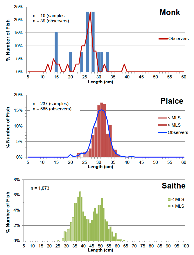 Figure 12: Percentage numbers at length of monks, plaice and saithe in the fishermen’s discard samples for all fishing gears combined.  The percentage numbers at length of discarded monk and plaice measured by observers under the data-limited stock project are also shown (all fishing gears, to end of 2014).