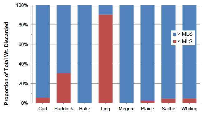 Figure 15: The proportions (by weight) of the fish in the fishermen’s discard samples that were above and below the Minimum Landing Size.