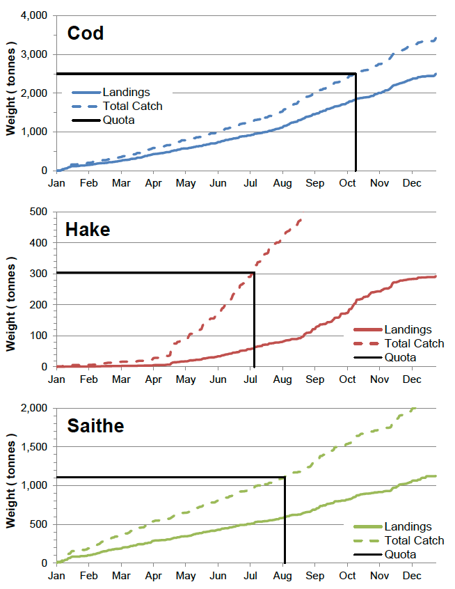 Figure 17: The cumulative landings and estimated cumulative total catch (landings + discards) of cod, hake and saithe by the Shetland whitefish fleet in 2014.  For each species the total available quota (including in-year swaps and trades) is shown along with the estimated date that this quota would have run out under a discards ban.  (Landings and quota data provided by the SFPO).