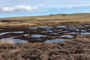 Sandy Loch, Shetland. The eroding peat has been transformed into bog pools and re-planted with bog vegetation. 
