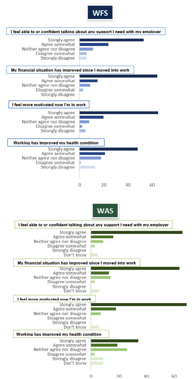 Figure 3.6 Statements about the impacts of support, for those who are working